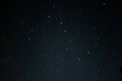 650
