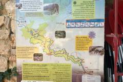 338