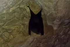 637