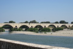 IMG_3792