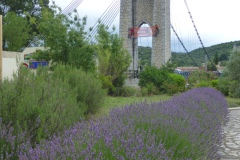 P1010580